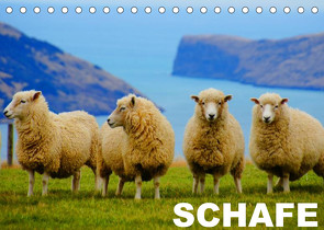 Schafe / Geburtstagskalender (Tischkalender 2022 DIN A5 quer) von Stanzer,  Elisabeth