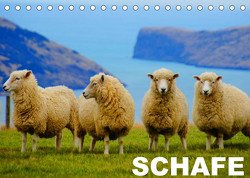 Schafe / Geburtstagskalender (Tischkalender 2023 DIN A5 quer) von Stanzer,  Elisabeth