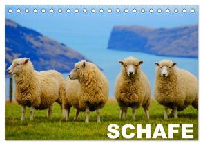 Schafe / Geburtstagskalender (Tischkalender 2024 DIN A5 quer), CALVENDO Monatskalender von Stanzer,  Elisabeth