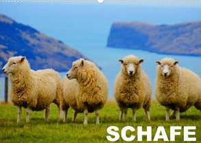 Schafe / Geburtstagskalender (Wandkalender 2023 DIN A2 quer) von Stanzer,  Elisabeth