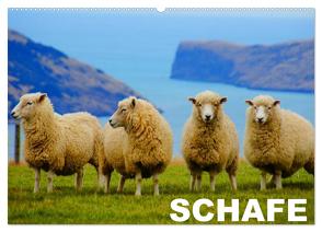Schafe / Geburtstagskalender (Wandkalender 2024 DIN A2 quer), CALVENDO Monatskalender von Stanzer,  Elisabeth