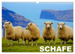 Schafe / Geburtstagskalender (Wandkalender 2024 DIN A3 quer), CALVENDO Monatskalender von Stanzer,  Elisabeth