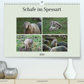 Schafe im Spessart (Premium, hochwertiger DIN A2 Wandkalender 2024, Kunstdruck in Hochglanz) von Meisenzahl,  Jessica