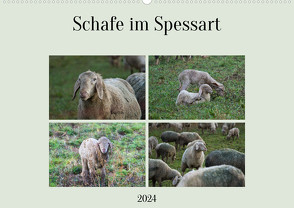Schafe im Spessart (Wandkalender 2024 DIN A2 quer), CALVENDO Monatskalender von Meisenzahl,  Jessica