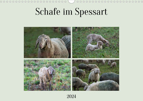 Schafe im Spessart (Wandkalender 2024 DIN A3 quer), CALVENDO Monatskalender von Meisenzahl,  Jessica