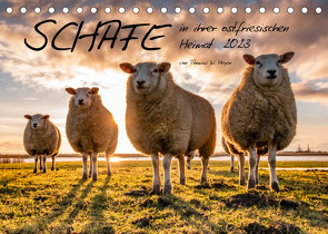 Schafe in ihrer ostfriesischen Heimat 2023 (Tischkalender 2023 DIN A5 quer) von W. Heyen,  Thomas