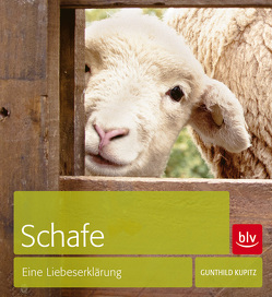 Schafe von Kupitz,  Gunthild