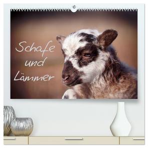 Schafe und Lämmer (hochwertiger Premium Wandkalender 2024 DIN A2 quer), Kunstdruck in Hochglanz von Greiling,  Hermann