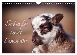 Schafe und Lämmer (Wandkalender 2024 DIN A4 quer), CALVENDO Monatskalender von Greiling,  Hermann