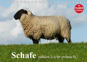 Schafe zählen leicht gemacht! (Tischkalender 2019 DIN A5 quer) von Stanzer,  Elisabeth