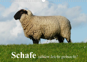 Schafe zählen leicht gemacht! (Wandkalender 2023 DIN A3 quer) von Stanzer,  Elisabeth