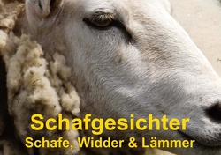 Schafgesichter • Schafe, Widder & Lämmer (Tischaufsteller DIN A5 quer) von Stanzer,  Elisabeth