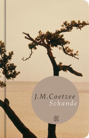 Schande von Böhnke,  Reinhild, Coetzee,  J.M.