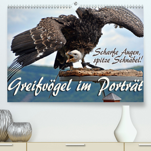 Scharfe Augen, spitze Schnäbel! Greifvögel im Porträt (Premium, hochwertiger DIN A2 Wandkalender 2020, Kunstdruck in Hochglanz) von Reiter,  Monika