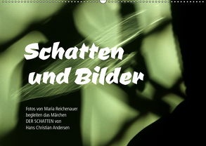 Schatten und Bilder (Wandkalender 2019 DIN A2 quer) von Reichenauer,  Maria