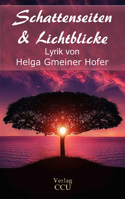 Schattenseiten & Lichtblicke von Gmeiner Hofer,  Helga
