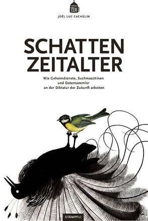 Schattenzeitalter von Cachelin,  Joel Luc