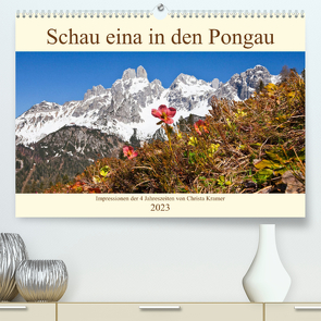 Schau eina in den Pongau (Premium, hochwertiger DIN A2 Wandkalender 2023, Kunstdruck in Hochglanz) von Kramer,  Christa