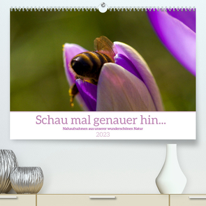 Schau mal genauer hin … Detailfotografie aus unserer wunderschönen Natur (Premium, hochwertiger DIN A2 Wandkalender 2023, Kunstdruck in Hochglanz) von MSK-Charakterbilder