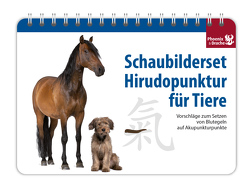 Schaubilderset Hirudopunktur für Tiere – Deutsche Ausgabe -> nur noch Schweizer Ausgabe lieferbar! von Dr. med. vet. Hauswirth,  Susanne