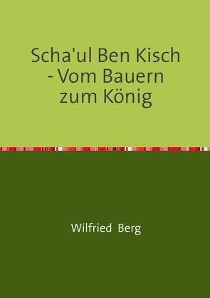 Scha’ul Ben Kisch – Vom Bauern zum König von Berg,  Wilfried