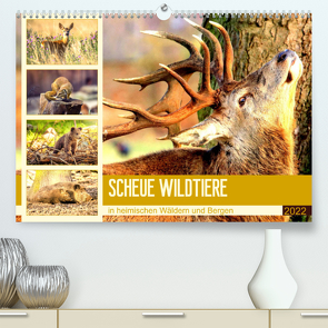 Scheue Wildtiere in heimischen Wäldern und Bergen (Premium, hochwertiger DIN A2 Wandkalender 2022, Kunstdruck in Hochglanz) von Hurley,  Rose