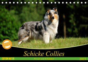 Schicke Collies (Tischkalender 2023 DIN A5 quer) von Janetzek,  Yvonne