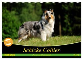 Schicke Collies (Wandkalender 2024 DIN A2 quer), CALVENDO Monatskalender von Janetzek,  Yvonne