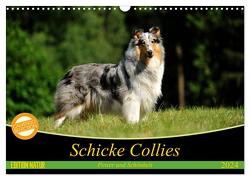 Schicke Collies (Wandkalender 2024 DIN A3 quer), CALVENDO Monatskalender von Janetzek,  Yvonne