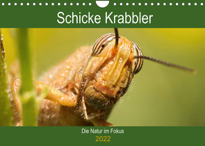 Schicke Krabbler (Wandkalender 2022 DIN A4 quer) von Krakowski,  Conny