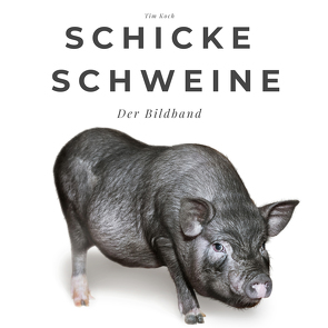 Schicke Schweine von Koch,  Tim