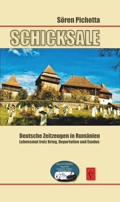 Schicksale Deutsche Zeitzeugen in Rumänien von Galter,  Dietrich, Henkel,  Jürgen, Pichotta,  Sören