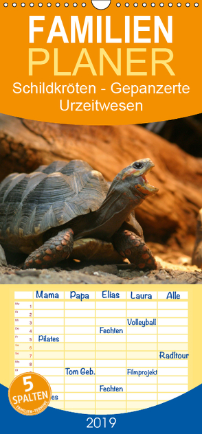 Schildkröten – Gepanzerte Urzeitwesen – Familienplaner hoch (Wandkalender 2019 , 21 cm x 45 cm, hoch) von Mielewczyk,  Barbara