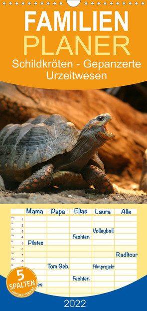 Familienplaner Schildkröten – Gepanzerte Urzeitwesen (Wandkalender 2022 , 21 cm x 45 cm, hoch) von Mielewczyk,  Barbara