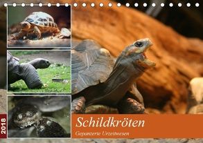 Schildkröten – Gepanzerte Urzeitwesen (Tischkalender 2018 DIN A5 quer) von Mielewczyk,  Barbara