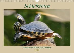 Schildkröten – Gepanzerte Wesen aus Urzeiten (Wandkalender 2019 DIN A3 quer) von Mielewczyk,  Barbara