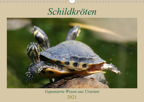 Schildkröten – Gepanzerte Wesen aus Urzeiten (Wandkalender 2021 DIN A3 quer) von Mielewczyk,  Barbara