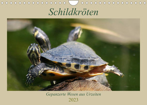 Schildkröten – Gepanzerte Wesen aus Urzeiten (Wandkalender 2023 DIN A4 quer) von Mielewczyk,  Barbara