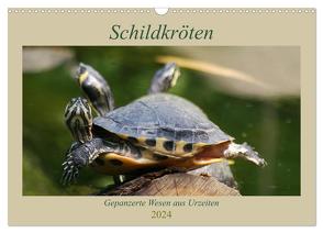 Schildkröten – Gepanzerte Wesen aus Urzeiten (Wandkalender 2024 DIN A3 quer), CALVENDO Monatskalender von Mielewczyk,  Barbara