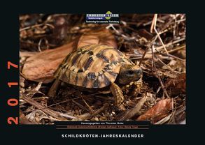 Schildkröten-Jahreskalender 2017 von Geier,  Thorsten, Trapp,  Benny