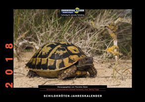 Schildkröten-Jahreskalender 2018 von Geier,  Thorsten, Trapp,  Benny