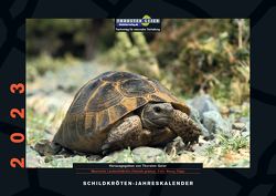 Schildkröten-Jahreskalender 2023 von Geier,  Thorsten, Trapp,  Benny