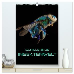 Schillernde Insektenwelt (hochwertiger Premium Wandkalender 2024 DIN A2 hoch), Kunstdruck in Hochglanz von Bleicher,  Renate