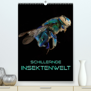 Schillernde Insektenwelt (Premium, hochwertiger DIN A2 Wandkalender 2022, Kunstdruck in Hochglanz) von Bleicher,  Renate