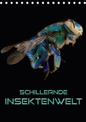 Schillernde Insektenwelt (Tischkalender 2018 DIN A5 hoch) von Bleicher,  Renate