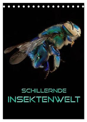 Schillernde Insektenwelt (Tischkalender 2024 DIN A5 hoch), CALVENDO Monatskalender von Bleicher,  Renate