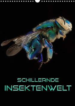 Schillernde Insektenwelt (Wandkalender 2023 DIN A3 hoch) von Bleicher,  Renate
