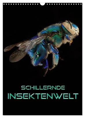 Schillernde Insektenwelt (Wandkalender 2024 DIN A3 hoch), CALVENDO Monatskalender von Bleicher,  Renate