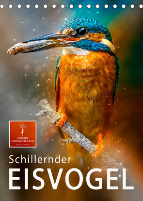 Schillernder Eisvogel (Tischkalender 2023 DIN A5 hoch) von Roder,  Peter
