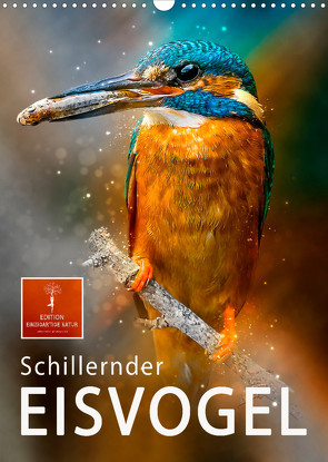 Schillernder Eisvogel (Wandkalender 2022 DIN A3 hoch) von Roder,  Peter